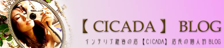 【CICADA】BLOG